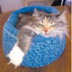 Meet your Posher, Donna